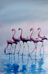 Flamingos-rosa a caminhar na água