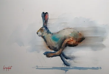 Liebre em aquarela a toda a velocidade