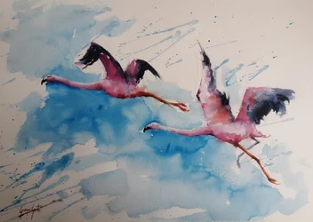 Voo vibrante dos flamingos