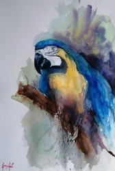 Retrato de uma arara colorida