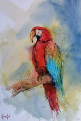 Arara vermelha vibrante