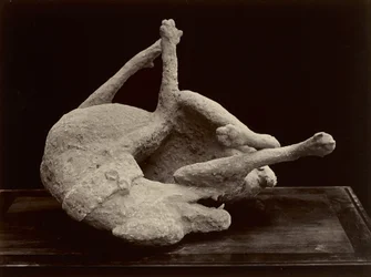Cão, Pompeia, c. 1870