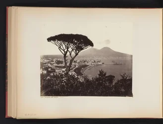 Vista de Nápoles, Itália, com um pinheiro em primeiro plano
Panorama dal Vomero Napoli (título sobre o objecto)
