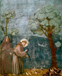 Episódio da vida de São Francisco de Assis (São Francisco): "A predicação das aves" Fresco de Giotto (Ambrogio di Bondone)