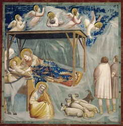Natividade, de Giotto (1267-1337), pormenor do ciclo de frescos Vida e Paixão de Cristo