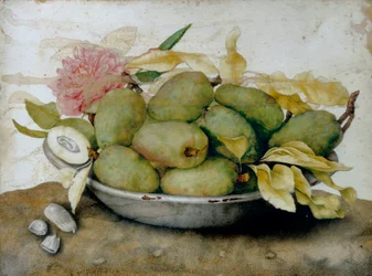 Prato de loquats, amêndoas e uma rosa