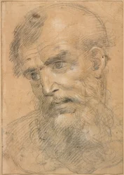Cabeça de um homem barbudo (frente); Estudo para uma conversa sacra (verso)