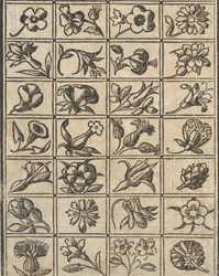 Exemplo de recammi, página 10 verso, 1530.