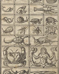 Exemplo de recammi, página 11 reto, 1530.