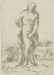 Vênus