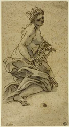 Flora