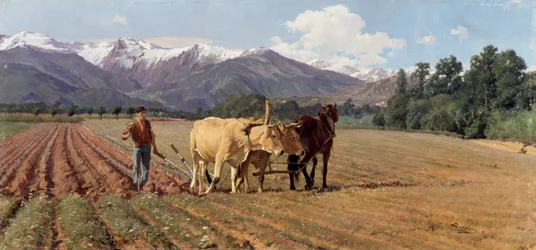 Lavouras