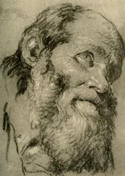 Cabeça de um homem velho, c1755, 1928