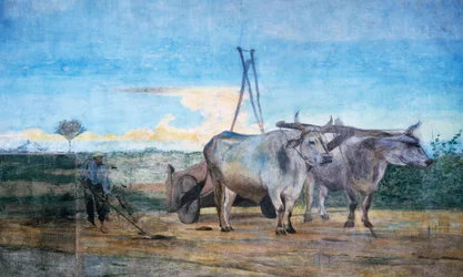Recolha de estrume, vagão com bois