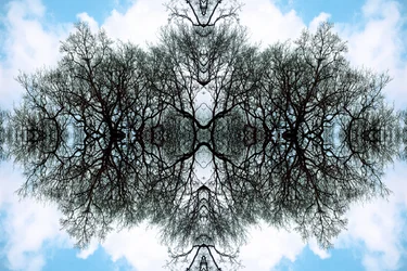 Unnatural 100 (foto manipulada digitalmente)