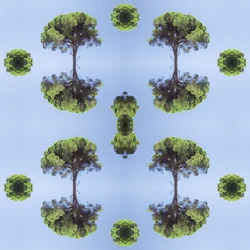 Unnatural 118 (foto manipulada digitalmente)