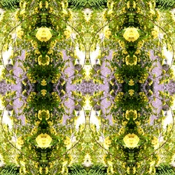 Unnatural 150 (foto manipulada digitalmente)
