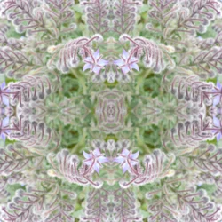 Unnatural 161 (foto manipulada digitalmente)