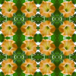 Unnatural 171.1 (foto manipulada digitalmente)