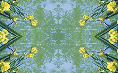 Unnatural 17 (foto manipulada digitalmente)