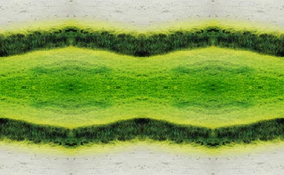 Não-natural 2.1 (foto manipulada digitalmente)