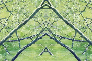 Não-natural 30 (foto manipulada digitalmente)