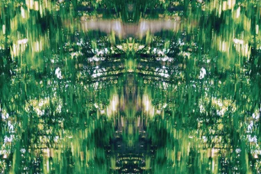 Não natural 31 (foto manipulada digitalmente)