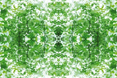 Não natural 34 (foto manipulada digitalmente)
