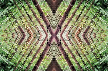 Não natural 37 (foto manipulada digitalmente)