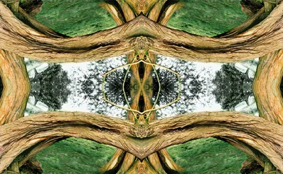 Não natural 37 (foto manipulada digitalmente)