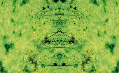 Não natural 3 (foto manipulada digitalmente)