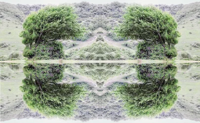 40 não natural (foto manipulada digitalmente)