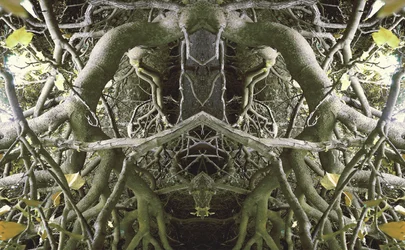 Não-natural 41 (foto manipulada digitalmente)