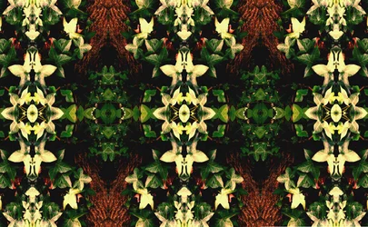 Unnatural 43 (foto manipulada digitalmente)