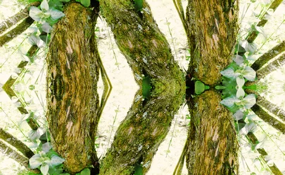 Não natural 45 (foto manipulada digitalmente)