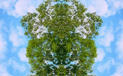 Não-natural 46 (foto manipulada digitalmente)