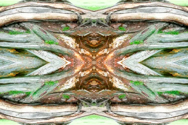 Não natural 64 (foto manipulada digitalmente)