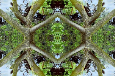 Não-natural 65.2 (foto manipulada digitalmente)