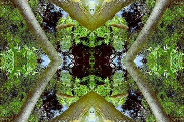 Não natural 65.3 (foto manipulada digitalmente)