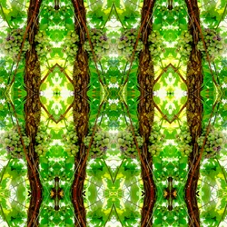 Não-natural 74 (foto manipulada digitalmente)