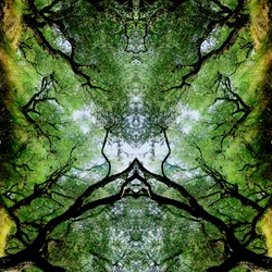 Não natural 75 (foto manipulada digitalmente)