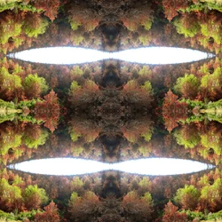 Não-natural 77.1 (foto manipulada digitalmente)