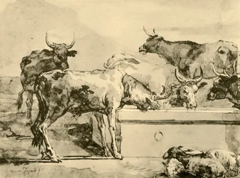 Rega de vacas, meados do século XVIII, 1928