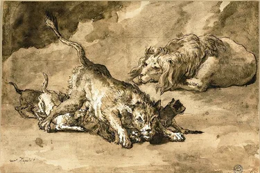 Leão, leoa e filhotes