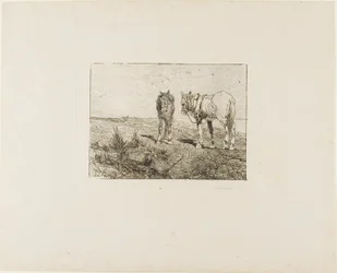 Descanso dos cavalos