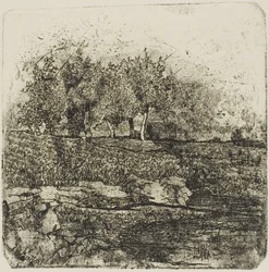 Árvores num prado
