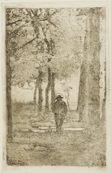 Passeio arborizado com figura