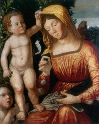 A costureira Madonna