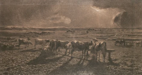 Noite (pastando, Alla stanga)
