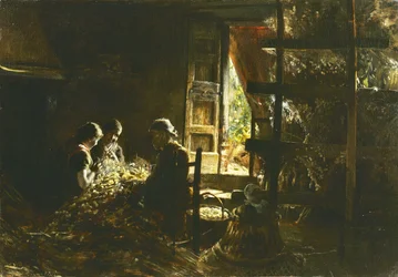 A coleção de casulos Coletando os casulos, 1882-1883.